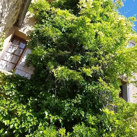 Lejlighed Le Balcon *