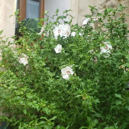 Appartement Le Balcon Camps-sur-l'Agly