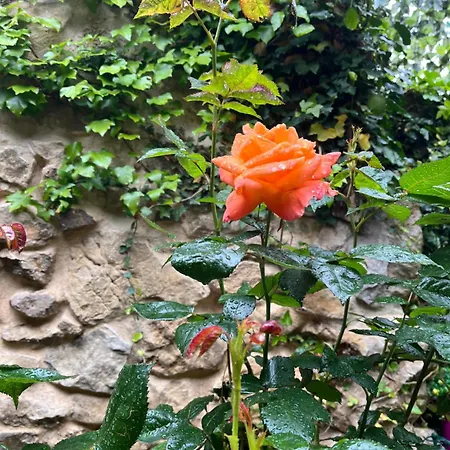 Le Balcon Appartamento