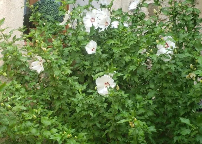 Διαμέρισμα Le Balcon Camps-sur-l'Agly