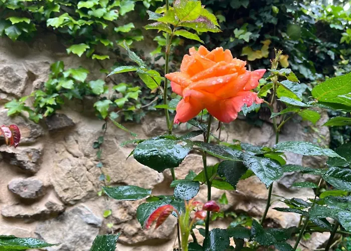 Le Balcon Διαμέρισμα